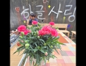 DB에 저장된 이미지