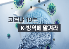 12. 코로나 19는 K-방역에 맡겨라