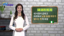DB에 저장된 이미지