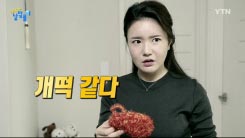 DB에 저장된 이미지